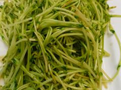 豆苗-王家厨房(新华路店)
