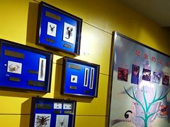 -上海昆虫博物馆