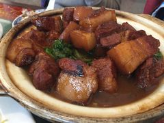-丁老爷子苏香圆