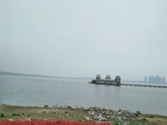 -瑶湖郊野森林公园