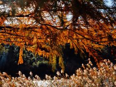 -南京市无想山景区