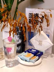 -Fundi张玉珊修身堂·indiba·BTL科技瘦身