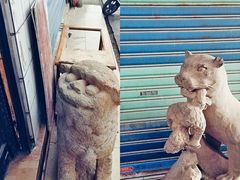 -桂林市花鸟市场