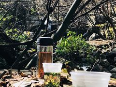 -青峰峡国家森林公园