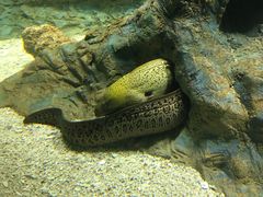 -北戴河圣蓝海洋公园