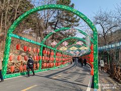 -大芦花风景区