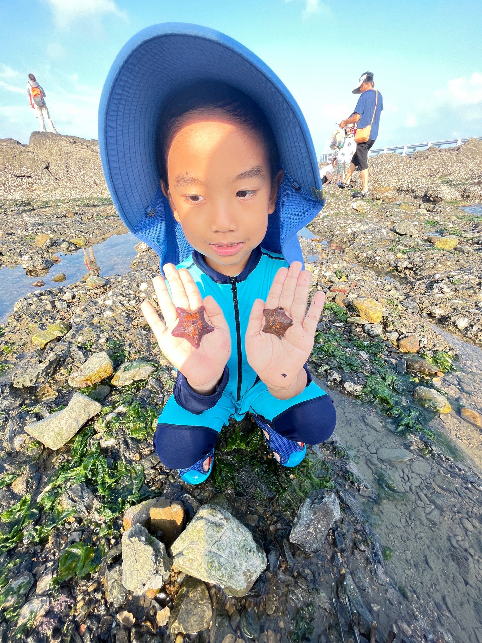 海边小海星