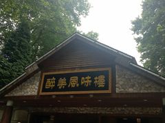 -醉美风味楼