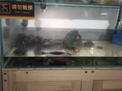 -甜心闲生传统手工冰粉(奎星楼店)