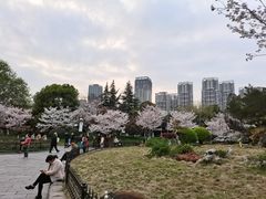-堤角公园