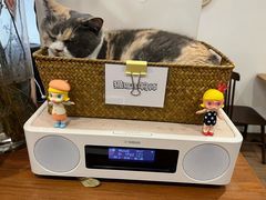 -有猫主题·治愈系猫咖(曾厝垵店)