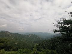 -大岭沟猕猴桃谷风景区