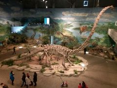 -自贡恐龙博物馆