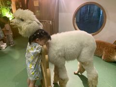 -藦茜花园宠物主题亲子互动体验馆(国顺东路店)