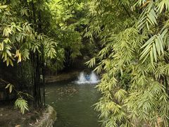 -望江楼公园
