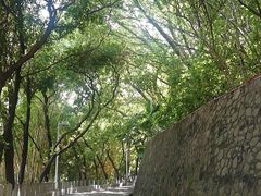 -中山公园(石岐街道)