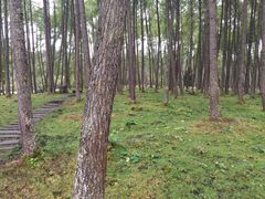 -硗碛藏寨·神木垒景区