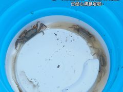 -南汇新城海滩