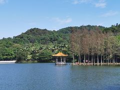 -西樵山风景名胜区-天湖公园