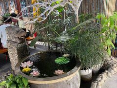 -三道苗苗鱼·美蛙黄辣丁(八里店)