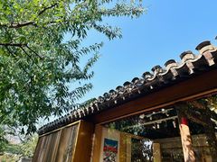 -春风习习