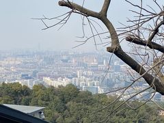 -灵顺寺