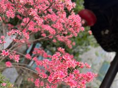 -老门东历史文化街区