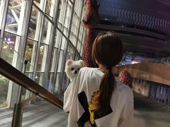 -二刀潮牛(重庆光环购物公园店)