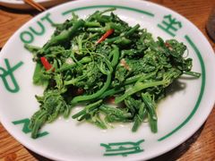清炒丝瓜尖-一坐一忘云南菜(嘉里中心店)