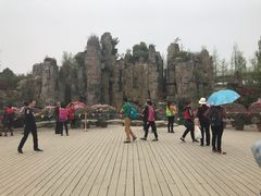 -秀丽东方