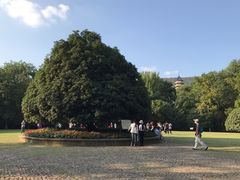 -灵谷景区