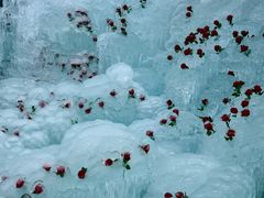 -洛阳白云山景区