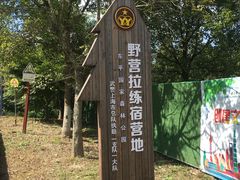 -东平国家森林公园
