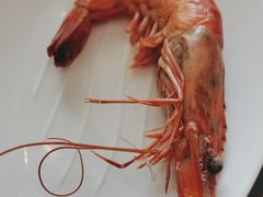 -中豪大酒店-嵩海阁自助餐厅(解放路店)