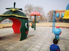 -大兴滨河森林公园