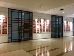 -复旦大学附属华山医院(浦东院区)