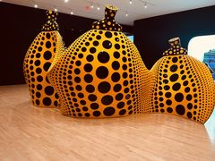 -旧金山现代艺术博物馆