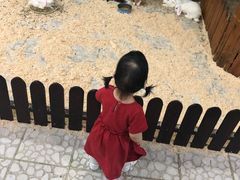 -上海大自然野生昆虫馆(东方明珠·爬宠昆虫探索中心)