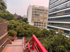 -香港大学