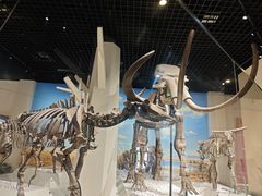 -国家自然博物馆