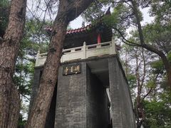 -青龙山国家森林公园