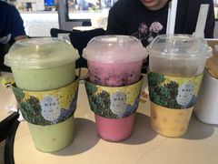 -野萃山·潮汕厚果汁(十亩地店)