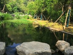 -白水寺森林公园