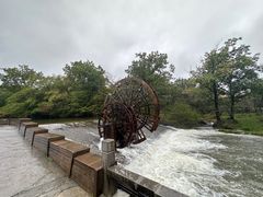 -大九湖