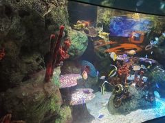 -沈阳海洋探索中心