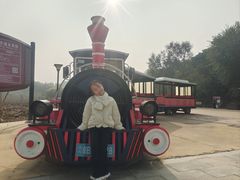 -北京张裕爱斐堡酒庄