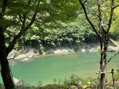 -岚山嵯峨野观光小火车