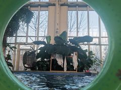 -中家鑫园温泉酒店鑫悦汤泉