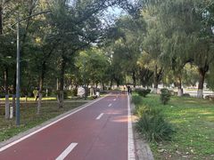-北陵公园