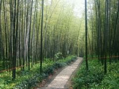 -南山风景名胜区